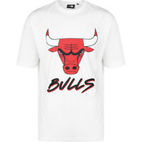 NBA Script Mesh Chicago Bulls T-Shirt Herren