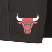 NBA Chicago Bulls Team Logo Shorts Herren image number 2