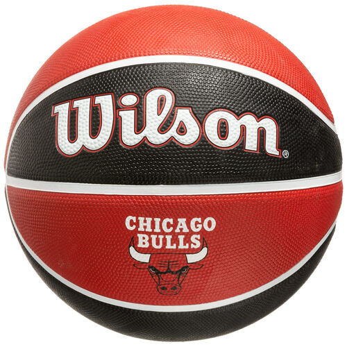 NBA Chicago Bulls Team Tribute Basketball