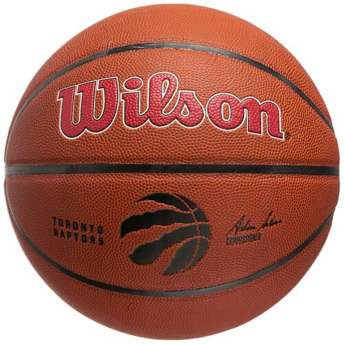 NBA Team Composite Toronto Raptors Basketball