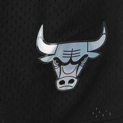 NBA Chicago Bulls Iridescent Mesh Shorts Herren image number 2