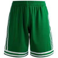 Boston Celtics 2.0 Swingman Shorts Herren