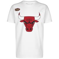 NBA Chicago Bulls Team Logo T-Shirt Herren