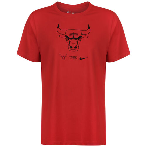 NBA Chicago Bulls Dry Logo T-Shirt Herren